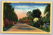 Country Club Park Phoenix Arizona AZ c1930 Linen Unposted Vintage Postcard