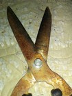 Minnetonka Cutlery Garden Right Hedge Shears 8 In Hardened Blade Shock Absorbent — photo 6