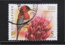 SINGAPOUR 2007 CRIMSON SUNBIRD 0,05 $ 2ÈME RÉIMPRESSION (2007C) 1 TIMBRE EN F...