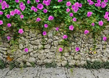Spring Floral Green Vine Leaves Stone Wall 7x5ft Vinyl Backdrop Photo Background