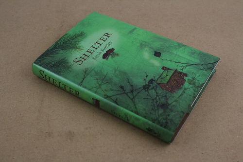 Shelter von Sarah Stonich (Hardcover, 2011 / sehr guter Zustand+) - Bild 3 von 4