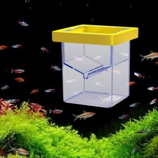 Fish Breeding Box Fish Isolation Box Incubation Box