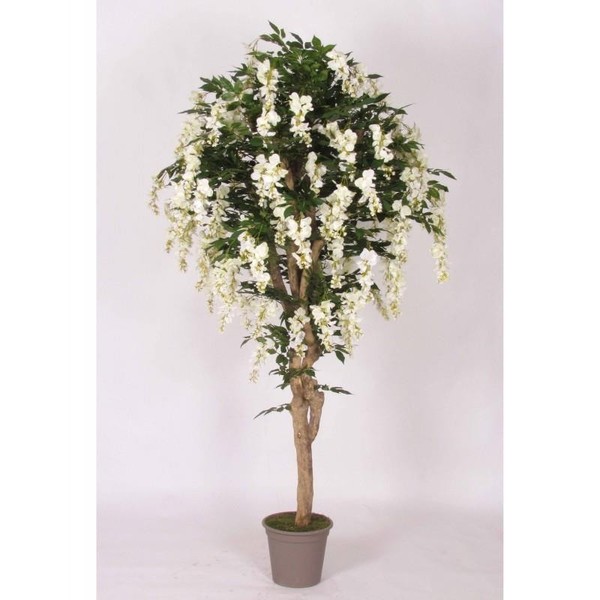 artplants Kunstbaum Blauregen Erlina, Echtstamm, Mit BlüTen, Weiß, 175Cm-image