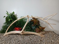 Driftwood aquarium fish reptiles lg 12x27" natural branch decor