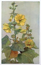 Vintage Floral Print, Yellow Hollyhock, Keramic Studio 1912 botanical art 13x10