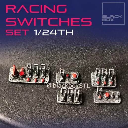 1:25-1:24 Scale Racing switches 5 piece set-Unpainted