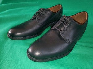 clarks 41