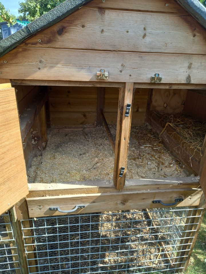wooden chicken coop eBay