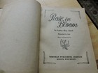Picture 4 of 9