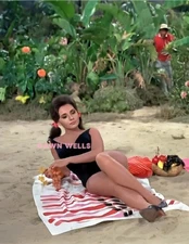 DAWN WELLS #281 MARYANN GILIGANS ISLAND COLORIZED PHOTO 11 X 8.5 SHIPS FREE