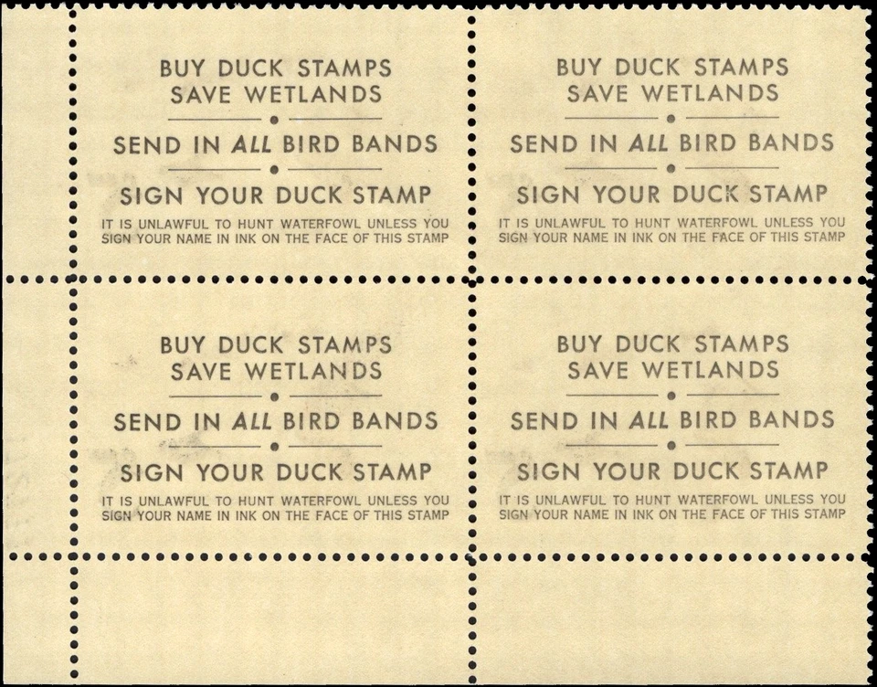 UNITED STATES 1975 Hunting Permit $5 Canvasbacks-Sc#RW42-Blk x4-MNH OG - Image 3 of 3