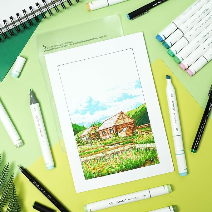 Ohuhu Marker Pens 80 Colors 81 Pens Thick and Thin Both Ends Illustration Japan