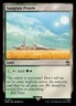 MTG - Sungrass Prairie (311) - Universes Beyond: Doctor Who - Near Mint