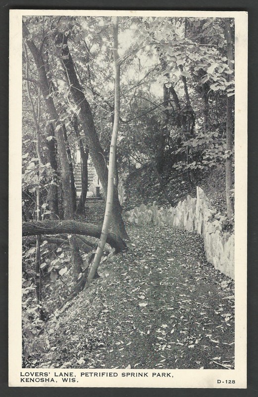 KENOSHA WISCONSIN Petrified Spring Park Lovers Lane WAYNE PAPER Postcard