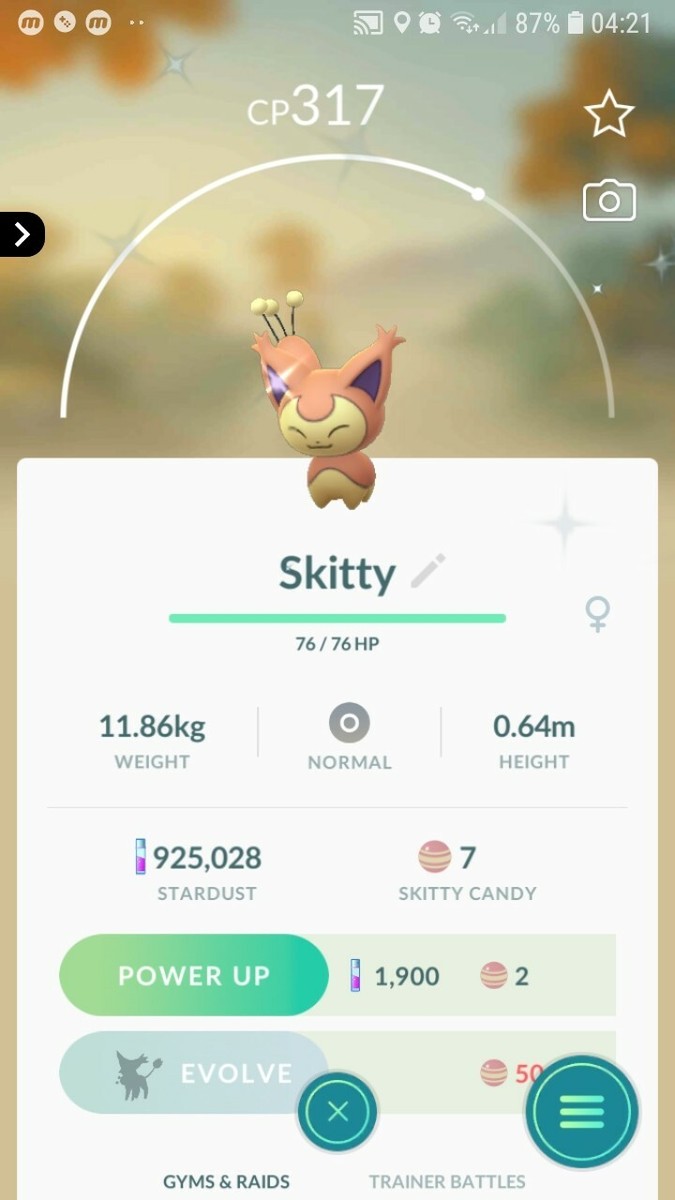 アメリカ購入品 金庫保管品 Skitty アメリカ購入品 金庫保管品 Skitty アメリカ購入品 金庫保管品