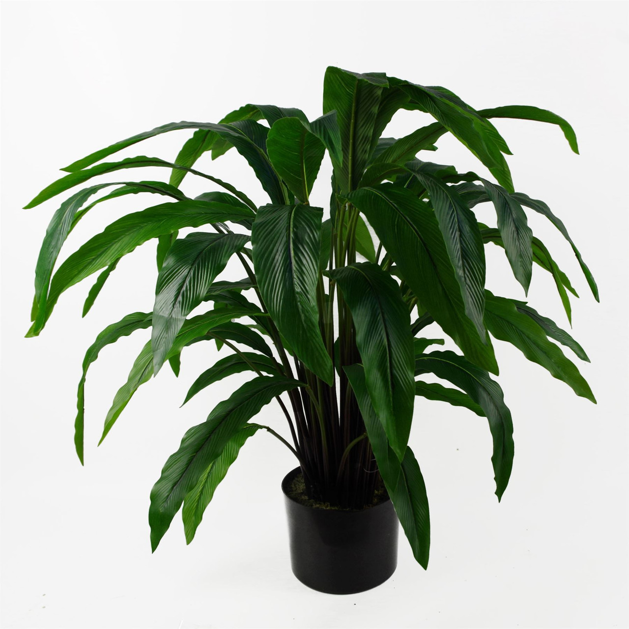 60cm Artificial Calathea Plant Realistic Indoor Tropical Potted Home Decor