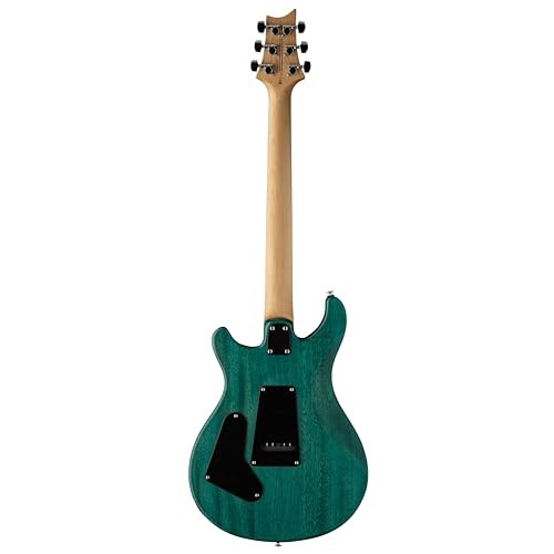 SE CE24 Standard Satin Turquoise From Japan | eBay