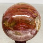 Natural Petrified Wood Polished Stone Quartz Crystal Sphere Ball Healing 1480G — photo 1