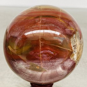 Natural Petrified Wood Polished Stone Quartz Crystal Sphere Ball Healing 1480G