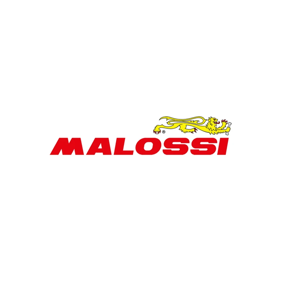 Scarico da corsa MALOSSI Flip, per MBK Booster R/NG/YAMAHA BW?S/NG 50ccm, 2T LC - Immagine 4 di 4