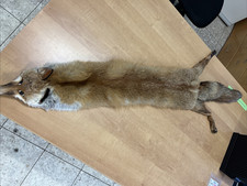 Rotfuchs Pelzstola Pelzkragen Pelzschal Echtfell