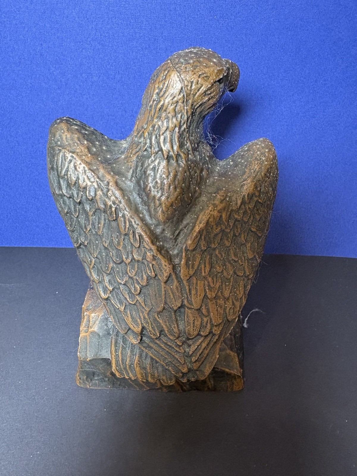 Picture 6 of 11