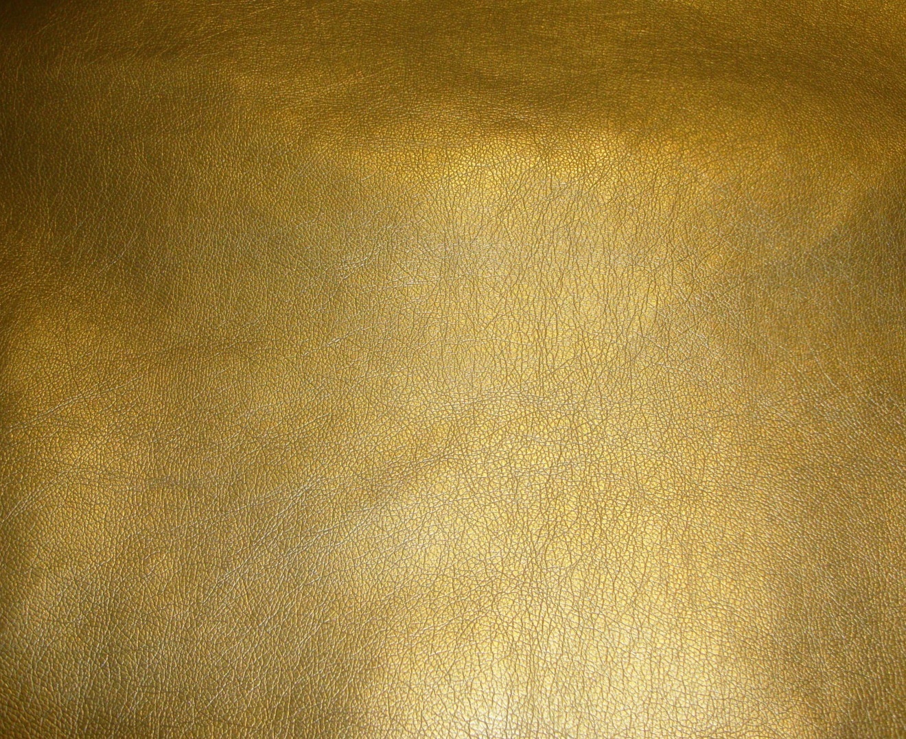 Picture 8 of 8