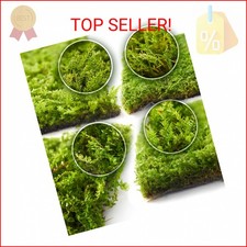 Live Moss 4-Pack Each 3.5"x7"   Real Mixed Moss for Terrariums, Reptile Habita