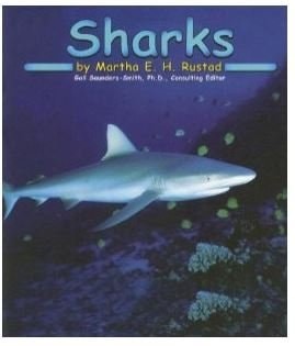 Sharks [Scholastic] (Ocean Life) by Martha E.H. Rustad, Very Good Book