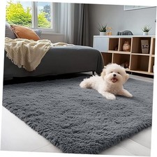 3x5 Machine Washable Small Bedside Rug, Soft Fluffy Shaggy Rugs 3x5 ft Grey