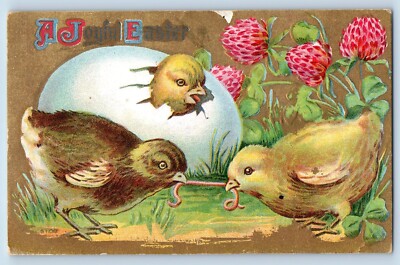 Easter Postcard Baby Chick Scrambling Worn Hatched Egg Clover Flowers Embossed