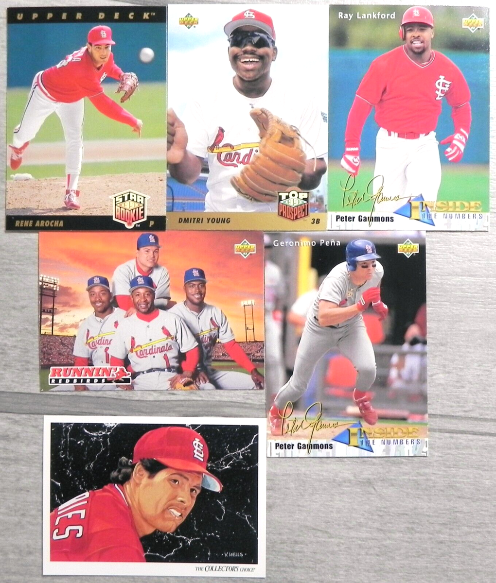 デックコレクション Deck Box Cynthia & Garchomp | The Art of Pokémon