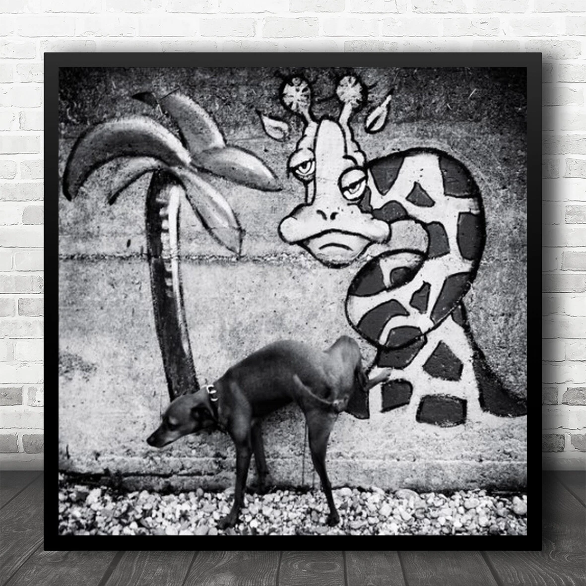 Fun Funny Humour Humour Dog Pet Animal Palm Tree Wall Pee Peeing