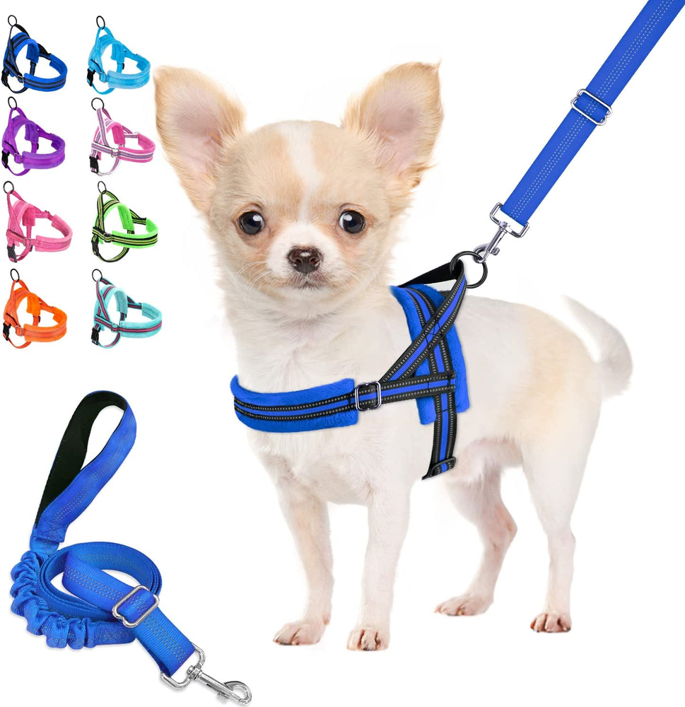 Adjustable Soft Padded Dog Harness and Leash Set for Small Dogs