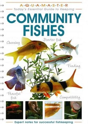 Community Fishes (Aquamaster) by Peter Hiscock Paperback / softback Book The
