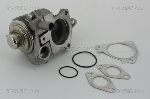 Triscan 8813 28019 Agr-Ventil FüR CitroËN,Fiat,Iveco,Peugeot-image