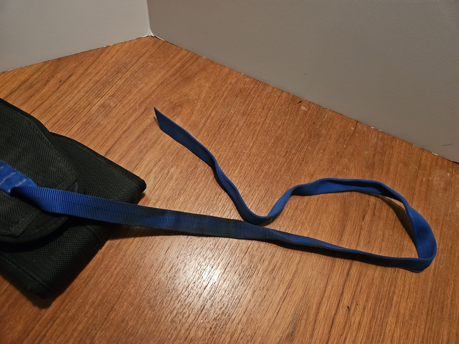 Ironmind De Rigueur Dipping Belt Pull Up Chin Up