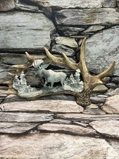 Antler With Moose   Woodland Forest