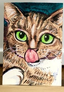 ACEO Original Cat Kitty Animal Funny Pet Portrait Whimsical Mini Art Drawing