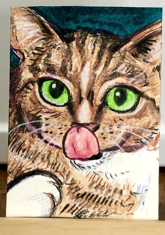 ACEO Original Cat Kitty Animal Funny Pet Portrait Whimsical Mini Art Drawing
