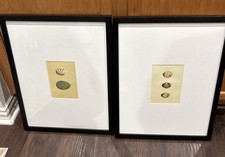 Pottery Barn Wood Gallery Oversized Mat Picture Frame 16" x 20" Black #1795 Egg