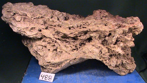 LARGE FOSSILIZED MAPLE LEAF PETRIFIED BOGWOOD SPECIMEN, 18 LBS, 15 OZ, #488