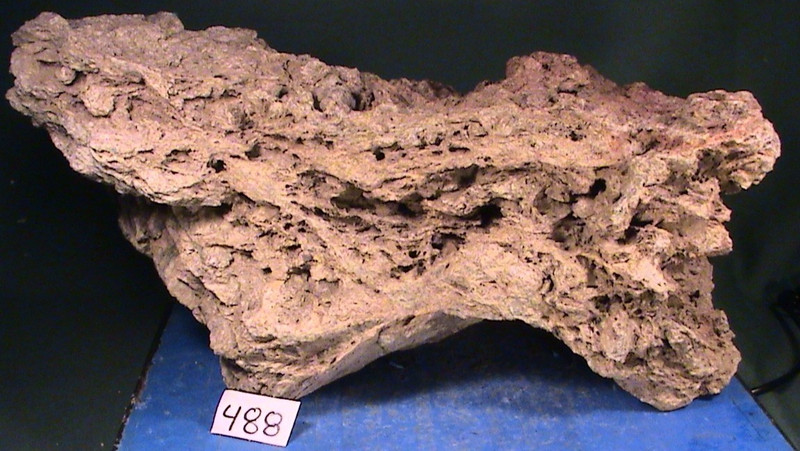 LARGE FOSSILIZED MAPLE LEAF PETRIFIED BOGWOOD SPECIMEN, 18 LBS, 15 OZ, #488