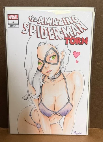 Amazing Spider-Man Torn #1 Blank Variant NM with custom Black Cat art