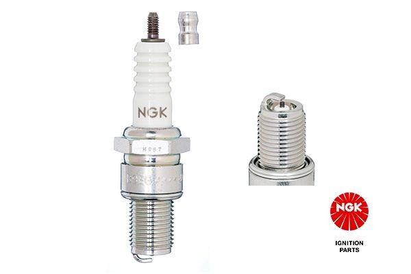 Spark Plug NGK B10EG