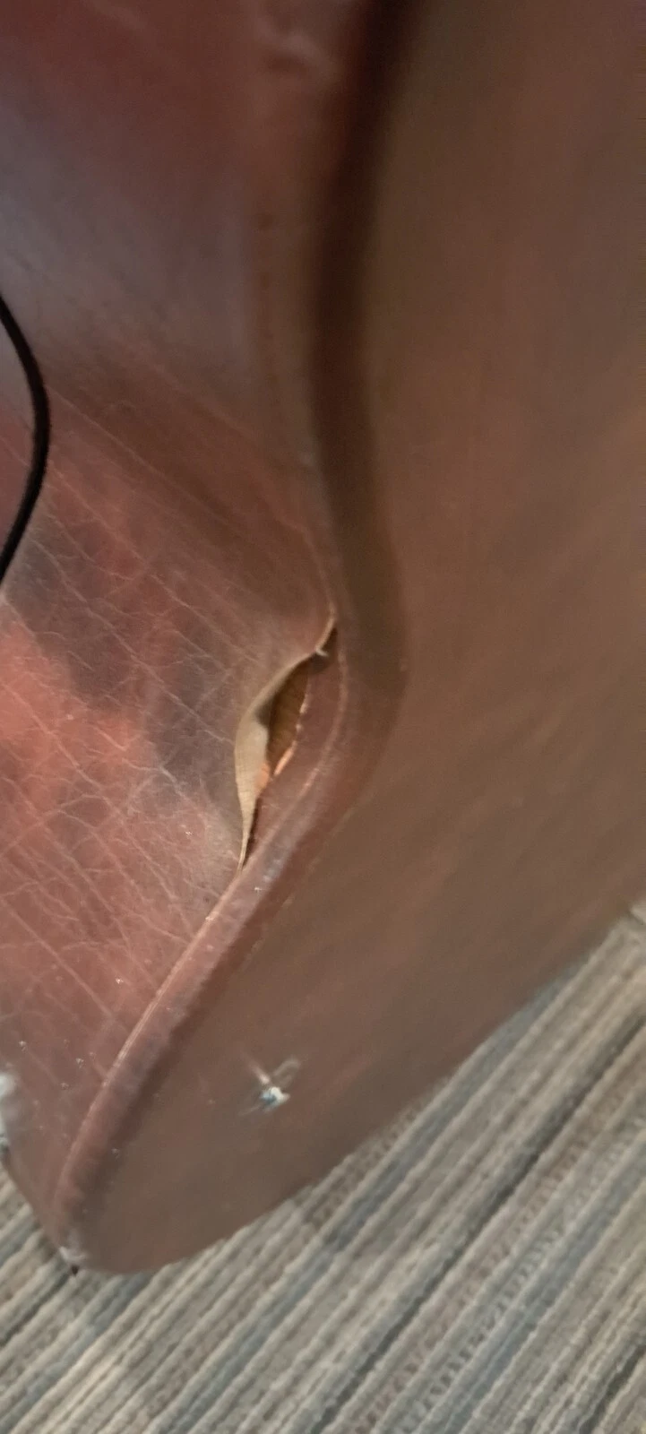 Picture 19 of 22