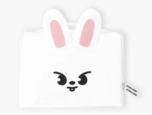 Stray Kids TRAVEL POUCH Bag Leebit 27cm JAPAN POPUP STORE | eBay