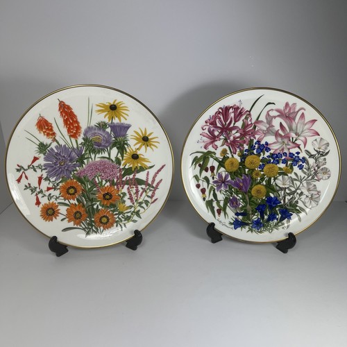 Franklin Porcelain - Wedgwood - 12 x Flowers Of The Year Collector Plates 77/78 - Picture 11 of 15