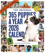 365 Puppies-A-Year Picture-A-Day(r) Wall Calendar 2026 (Calendar)