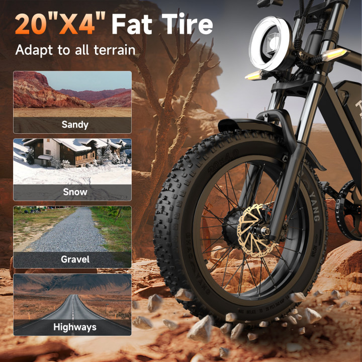 Hikeep 1500W Motor Electric Mountain Bike 20in 48V 15.6Ah 30MPH Fat Tire Adult